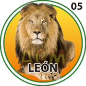 2025-07-30 11:00 5 León