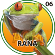 2025-05-14 17:00 6 Rana