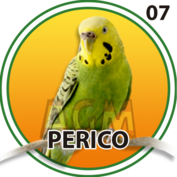 2025-07-02 13:00 7 Perico